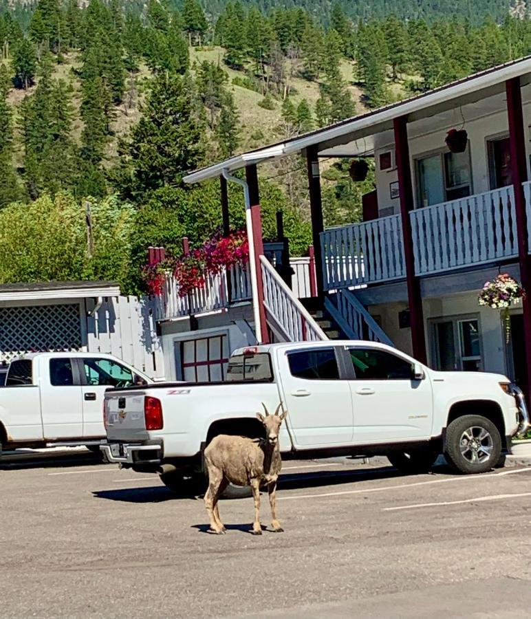 Mountain Springs Motel Radium Hot Springs Exterior photo