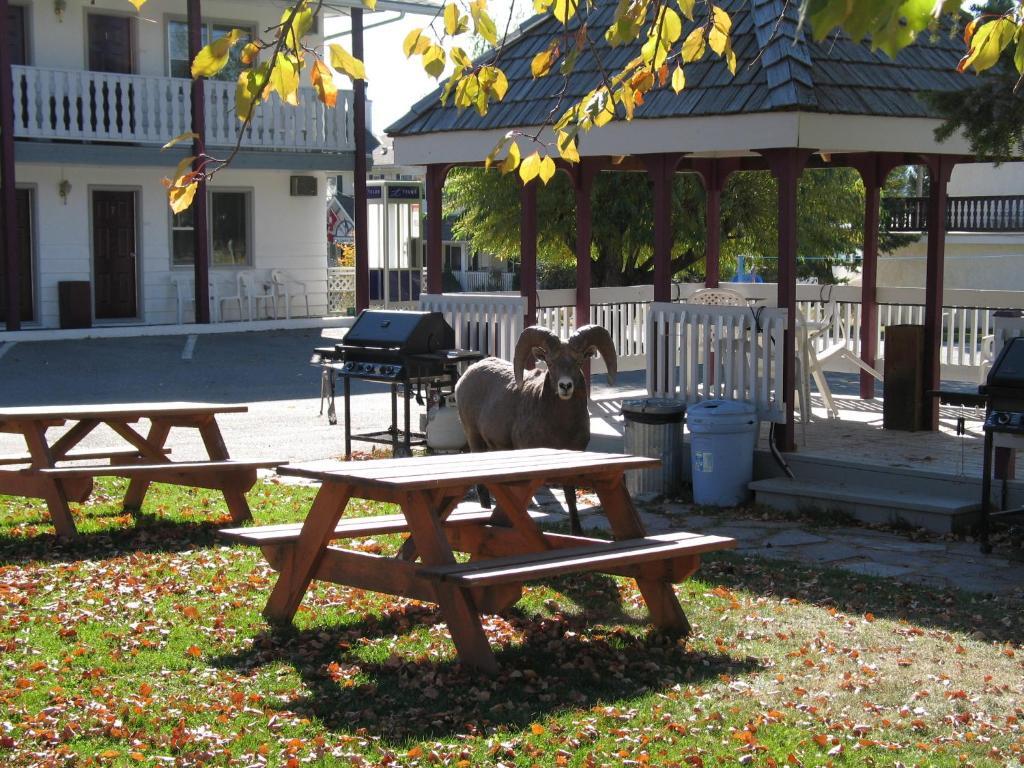 Mountain Springs Motel Radium Hot Springs Exterior photo